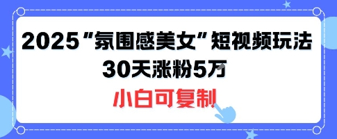 不露脸也能火！2025“氛围感美女”短视频玩法，30天涨粉5W小白可复制-网赚项目平台