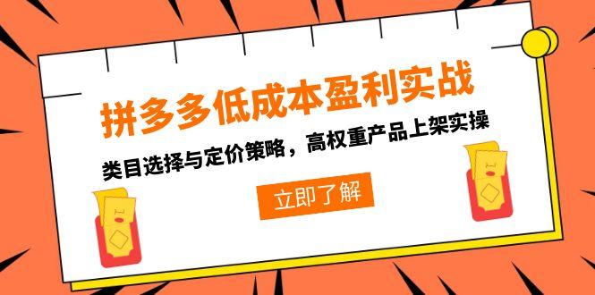 拼多多低成本盈利实战，类目选择与定价策略，高权重产品上架实操-网赚项目平台