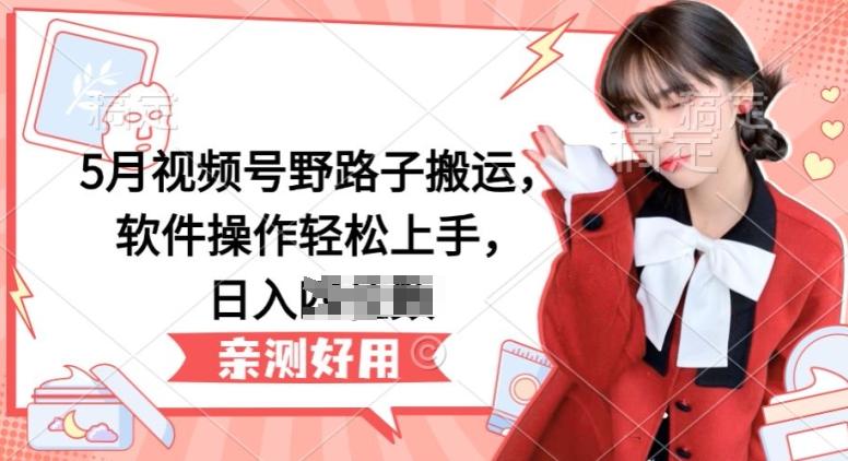 5月视频号野路子搬运，软件操作轻松上手，日入三位数【揭秘】-网赚项目平台