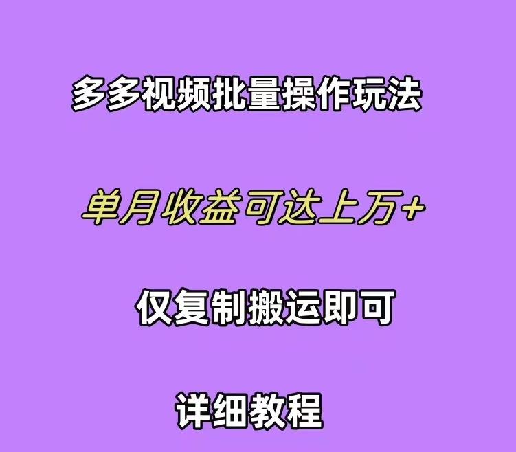 (10029期)拼多多视频带货快速过爆款选品教程 每天轻轻松松赚取三位数佣金 小白必…-网赚项目平台