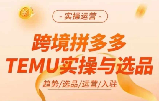 跨境拼多多TEMU实操与选品，多多temu跨境选品运营实操-网赚项目平台