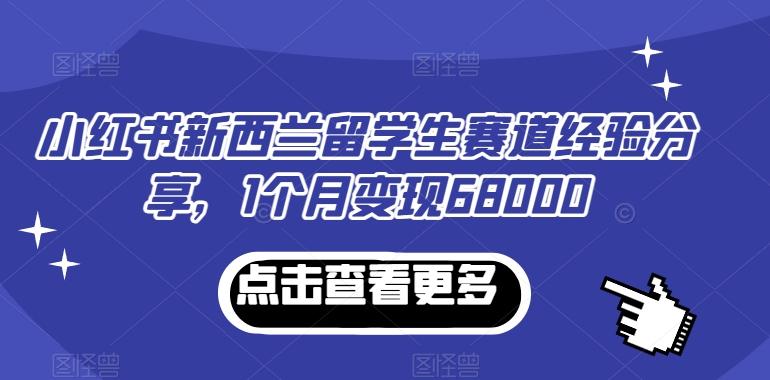 小红书新西兰留学生赛道经验分享，1个月变现68000【揭秘】-网赚项目平台