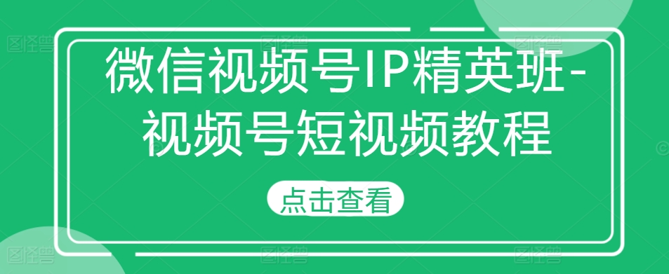 微信视频号IP精英班-视频号短视频教程-网赚项目平台