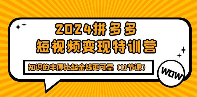 (9817期)2024拼多多短视频变现特训营，知识的丰厚比起金钱更可靠(11节课)-网赚项目平台