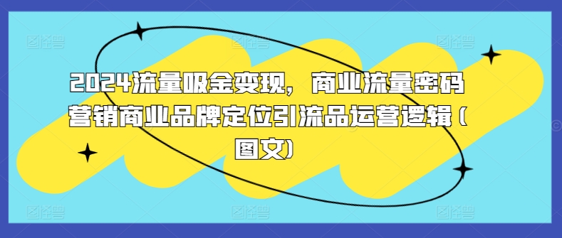 2024流量吸金变现，商业流量密码营销商业品牌定位引流品运营逻辑(图文)-网赚项目平台