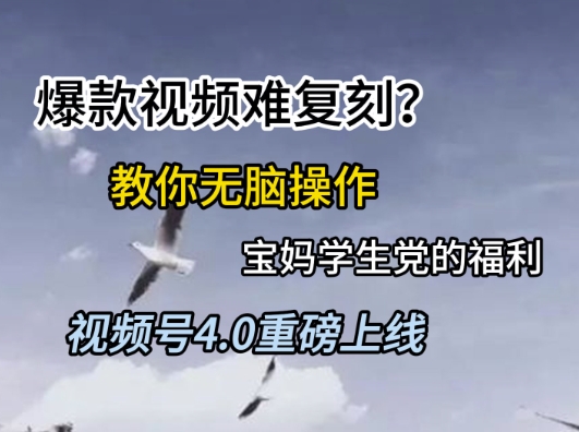视频号4.0重磅上线，爆款视频难复刻？教你无脑操作宝妈学生党的福利【揭秘】-网赚项目平台