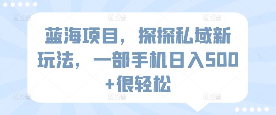 蓝海项目，探探私域新玩法，一部手机日入500+很轻松【揭秘】-网赚项目平台