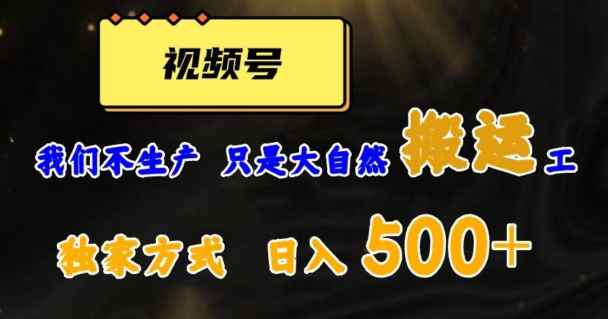 视频号轻松搬运日赚500+，一个1分钟1条原创视频【揭秘】-网赚项目平台