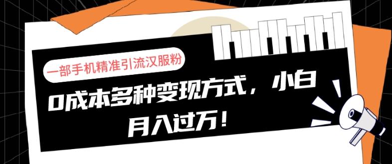 一部手机精准引流汉服粉，0成本多种变现方式，小白月入过万！-网赚项目平台