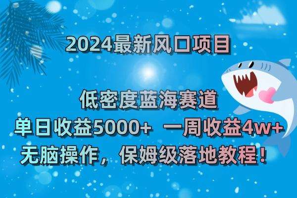 (8545期)2024最新风口项目 低密度蓝海赛道，日收益5000+周收益4w+ 无脑操作，保…-网赚项目平台