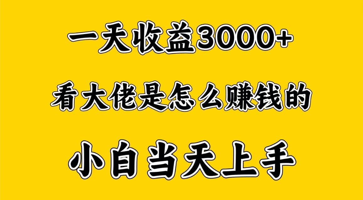 一天赚3000多，大佬是这样赚到钱的，小白当天上手，穷人翻身项目-网赚项目平台