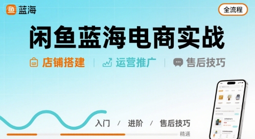 闲鱼蓝海电商实战，店铺搭建运营售后全流程-网赚项目平台