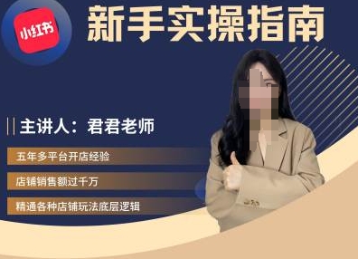 君君-小红书电商从入门到精通，新手实操指南-网赚项目平台