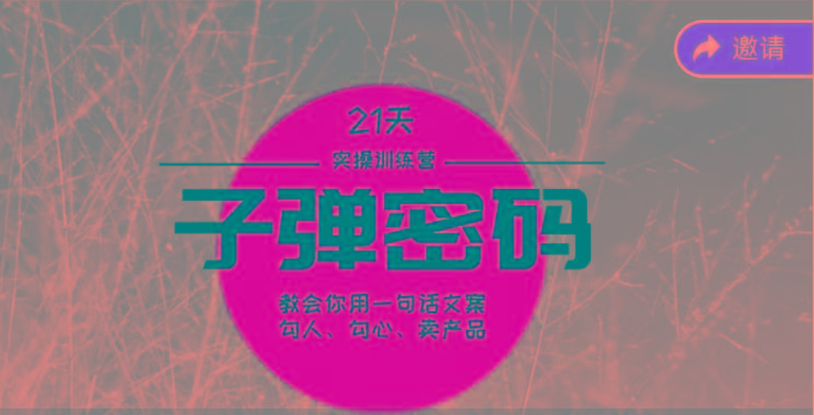《子弹密码训练营》-用一句话文案勾人勾心卖产品，21天学到顶尖文案大师策略和技巧-网赚项目平台
