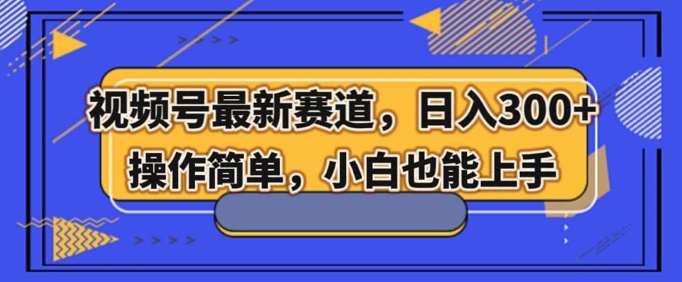 视频号最新赛道，日入300+，新手小白轻松掌握-网赚项目平台