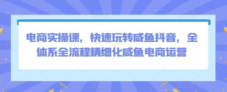 电商实操课，快速玩转咸鱼抖音，全体系全流程精细化咸鱼电商运营-网赚项目平台