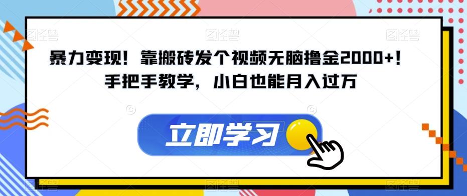 暴力变现！靠搬砖发个视频无脑撸金2000+！手把手教学，小白也能月入过万【揭秘】-网赚项目平台