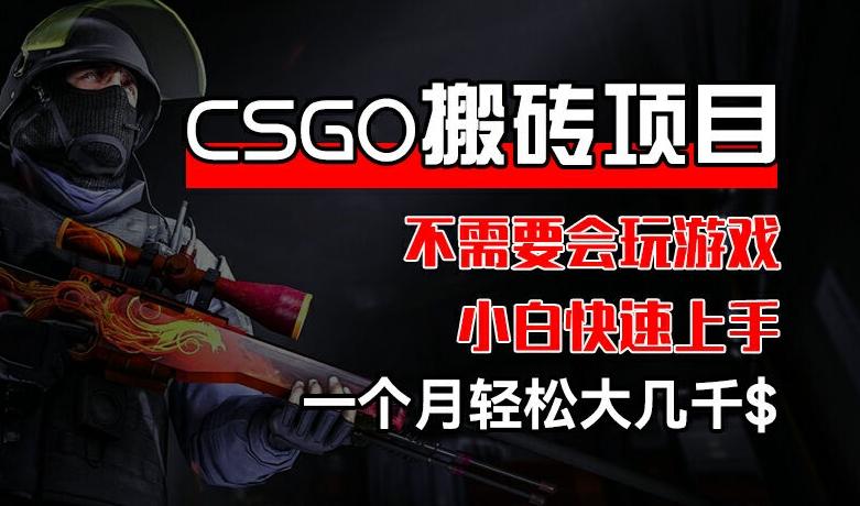CSGO 装备搬砖项目，操作简单，不需要会玩游戏，小白也能快速上手，一个月轻松大几千【揭秘】-网赚项目平台