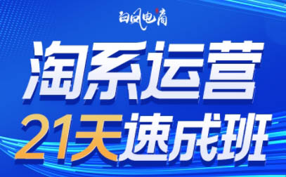 白凤电商·淘系运营21天速成班(更新6月)-网赚项目平台
