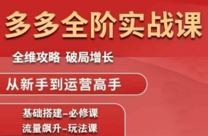 大炮·拼多多全阶实战课程(更新10月)-网赚项目平台