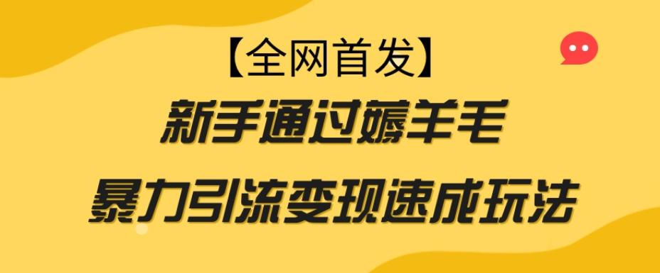 【全网首发】新手通过薅羊毛暴力引流变现速成玩法-网赚项目平台