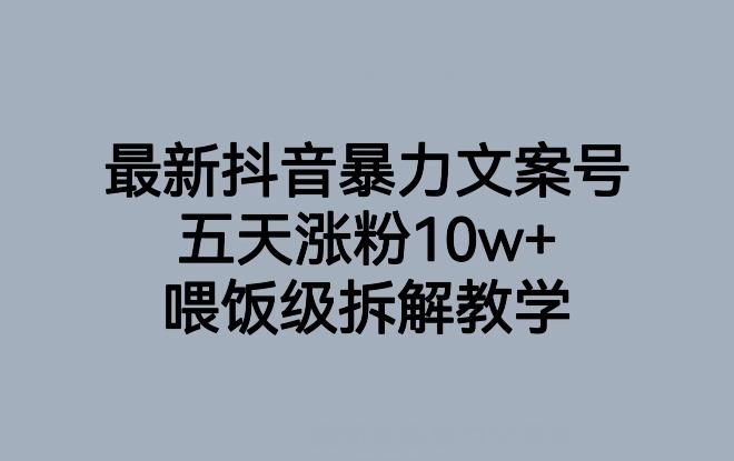 最新抖音暴力文案号，五天涨粉10w+，喂饭级拆解教学-网赚项目平台