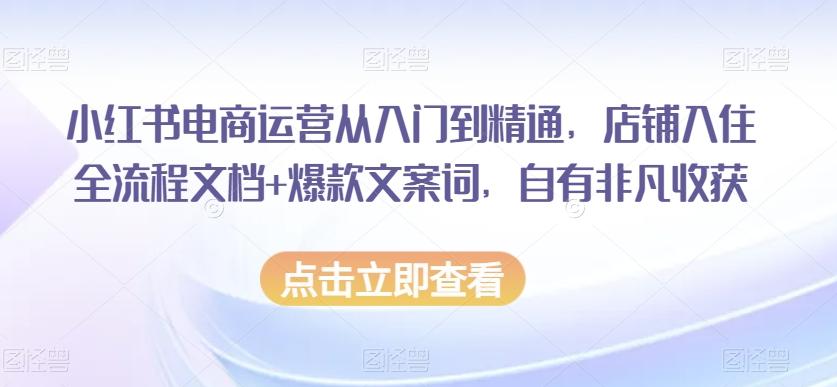 小红书电商运营从入门到精通，店铺入住全流程文档+爆款文案词，自有非凡收获-网赚项目平台