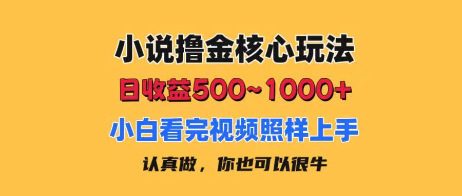 小说撸金核心玩法，日收益500-1000+，小白看完照样上手，0成本有手就行-网赚项目平台