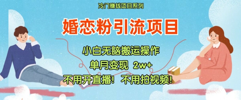 小红书婚恋粉引流，不用开直播，不用拍视频，不用做交付【揭秘】-网赚项目平台