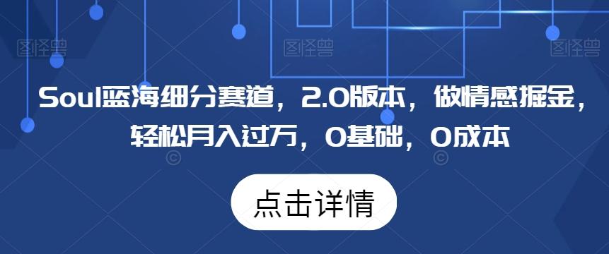 Soul蓝海细分赛道，2.0版本，做情感掘金，轻松月入过万，0基础，0成本-网赚项目平台