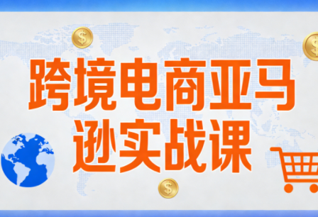丝丝老师·跨境电商亚马逊实战课(更新2月)-网赚项目平台