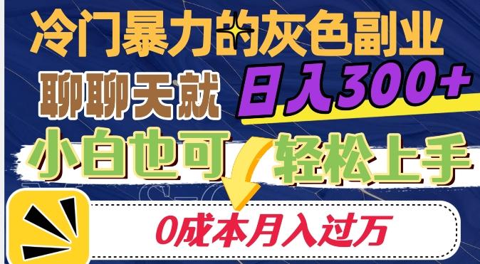 冷门暴利的副业项目，聊聊天就能日入300+，0成本月入过万【揭秘】-网赚项目平台