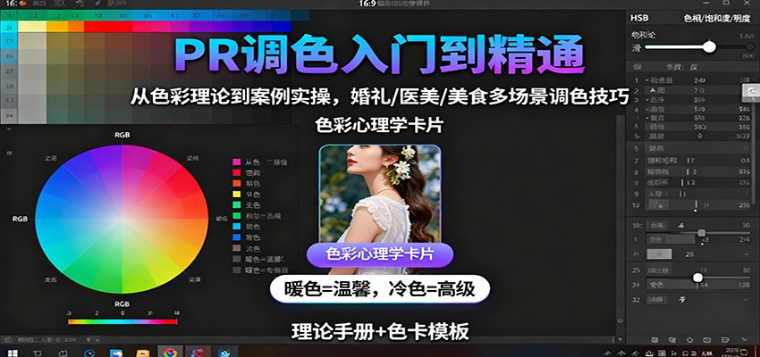 PR调色入门到精通：从色彩理论到案例实操，婚礼/医美/美食多场景调色技巧-网赚项目平台