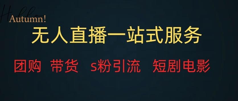 无人直播一站式服务（教程以及变现方式）-网赚项目平台