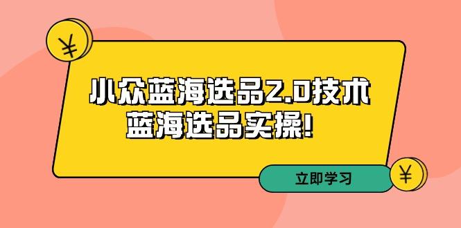 拼多多培训第33期：小众蓝海选品2.0技术-蓝海选品实操！-网赚项目平台