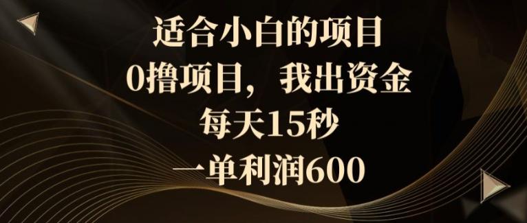 适合小白的项目，0撸项目，我出资金，每天15秒，一单利润600-网赚项目平台