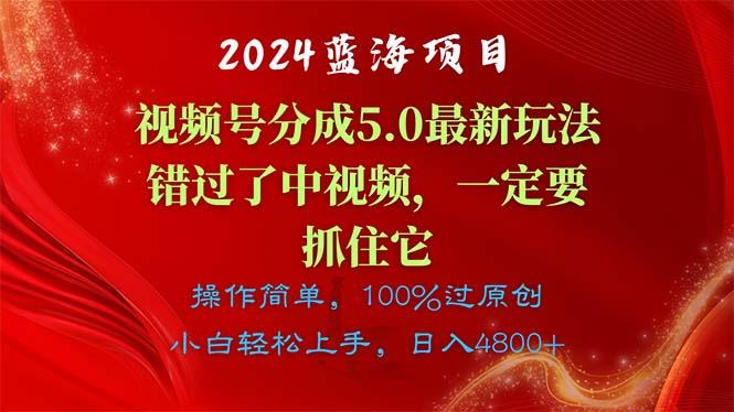 2024蓝海项目，视频号分成计划5.0最新玩法，错过了中视频，一定要抓住…-网赚项目平台