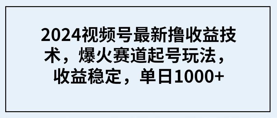 (9651期) 2024视频号最新撸收益技术，爆火赛道起号玩法，收益稳定，单日1000+-网赚项目平台