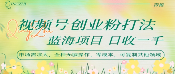 视频号创业粉打法，日入1k，蓝海项目，市场需求大，全程无脑操作，可复制-网赚项目平台