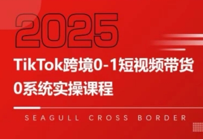 大亿老师·TikTok跨境0-1短视频带货-网赚项目平台