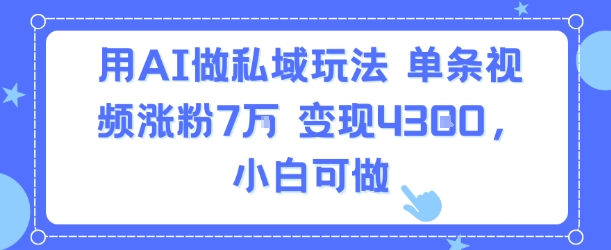 用AI做私域玩法，单条视频涨粉7W变现4.3k，小白可做-网赚项目平台