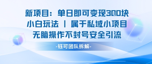 新项目单日即可变现3张的小白玩法无脑操作不封号安全引流-网赚项目平台