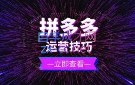 力辛电商·拼多多强付费店群玩法-网赚项目平台
