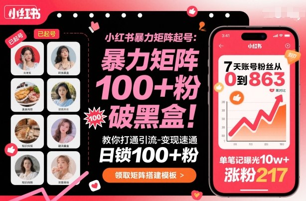 小红书暴力矩阵起号,教你打通引流-变现速通,日锁100+粉,破流量黑盒-网赚项目平台