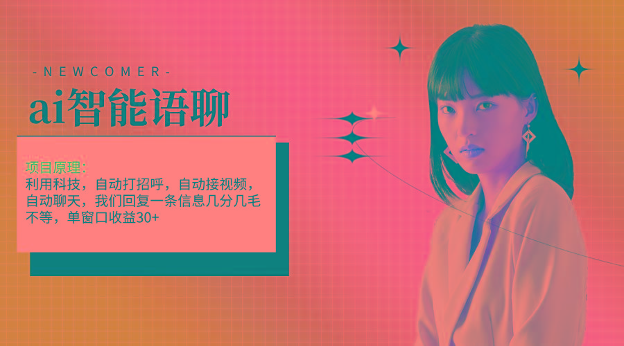 ai智能语聊，单窗口30+单机500+，无脑干！！！-网赚项目平台