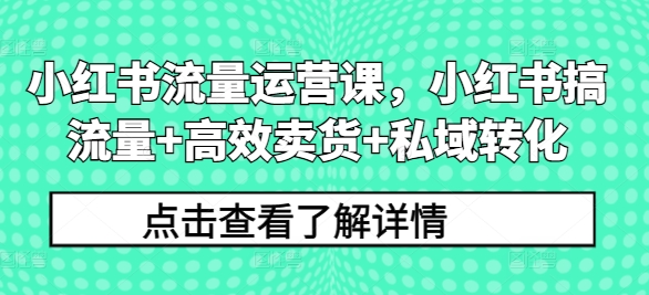 小红书流量运营课，小红书搞流量+高效卖货+私域转化-网赚项目平台
