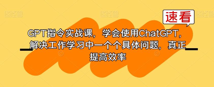 GPT指令实战课，学会使用ChatGPT，解决工作学习中一个个具体问题，真正提高效率-网赚项目平台
