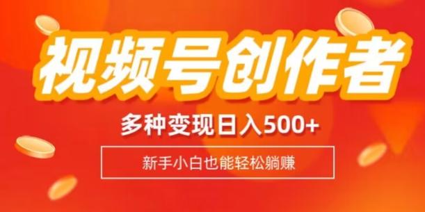 视频号创作者计划，多种变现方式，日入500+【内附1080g视频素材】-网赚项目平台