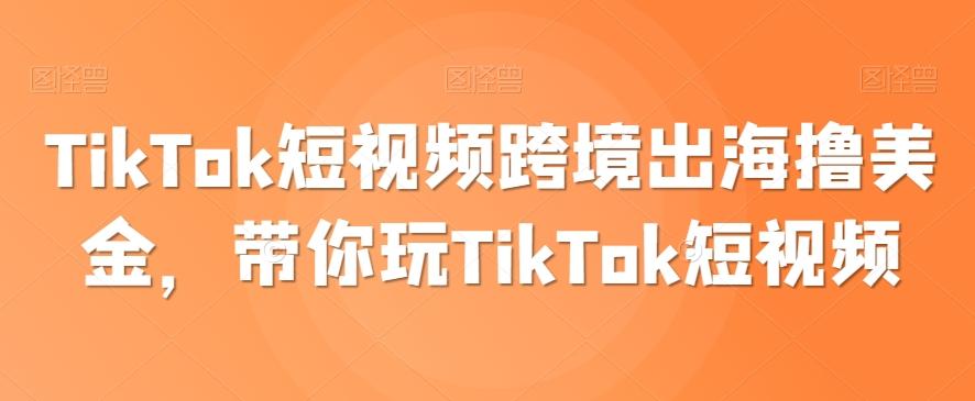 TikTok短视频跨境出海撸美金，带你玩TikTok短视频-网赚项目平台