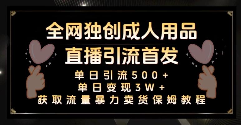 全网独创真人主播+无人直播单日引流500+，橙人用品暴力卖货单日变现3W+保姆似教学2.0【揭秘】-网赚项目平台